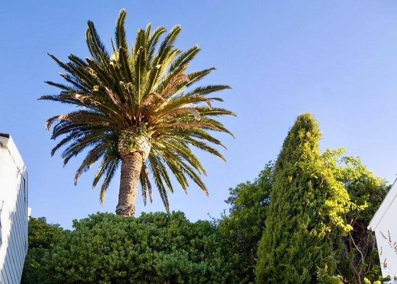 To Let 2 Bedroom Property for Rent in Simons Town Western Cape